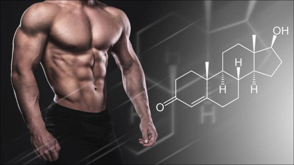 Safest Anabolic Steroid: Gain Muscle Safely