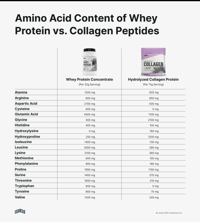 Collagen Peptides Versus Collagen Protein