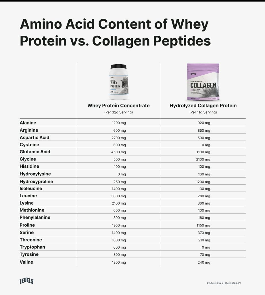 Collagen Peptides Versus Collagen Protein