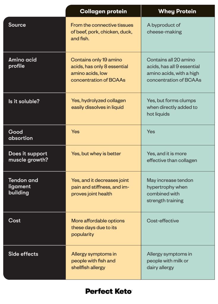 Collagen Peptides Vs Whey Protein