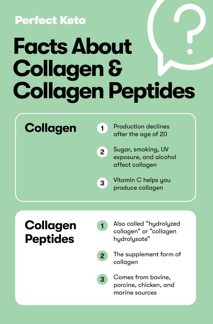 What is the Difference between Collagen And Collagen Peptides