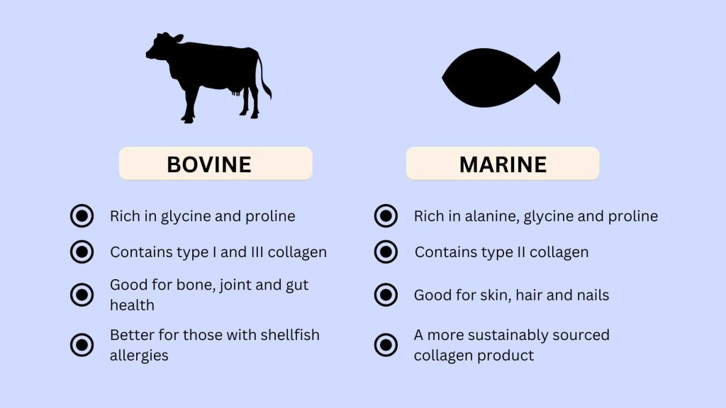 Which is Better Marine Collagen Or Collagen Peptides